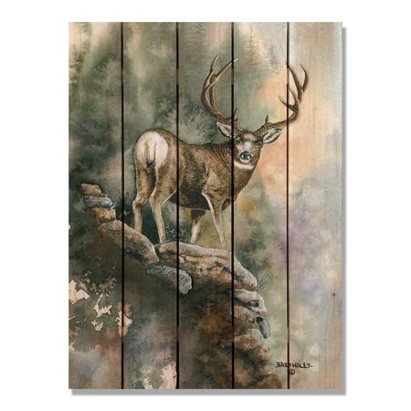 RICKI&APOSS RUGS 28 x 36 in. Bartholets Last Light Muley Inside & Outside Cedar Wall Art RI896439